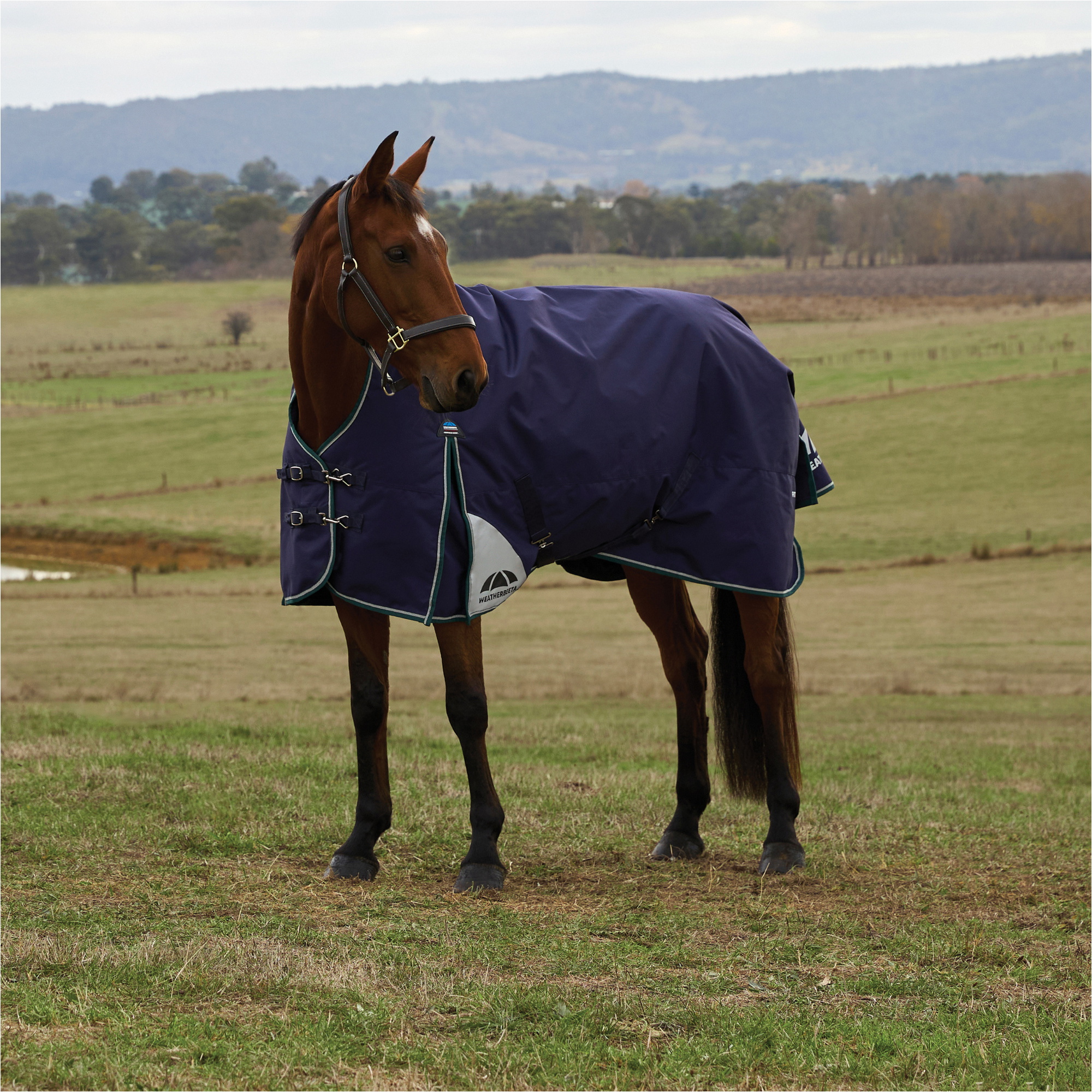 2025 Weatherbeeta Comfitec Plus Dynamic Turnout High Neck 1029006 - Navy